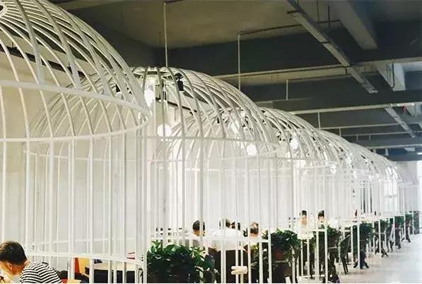 大学(changsha university of science & technology)简称"csust"