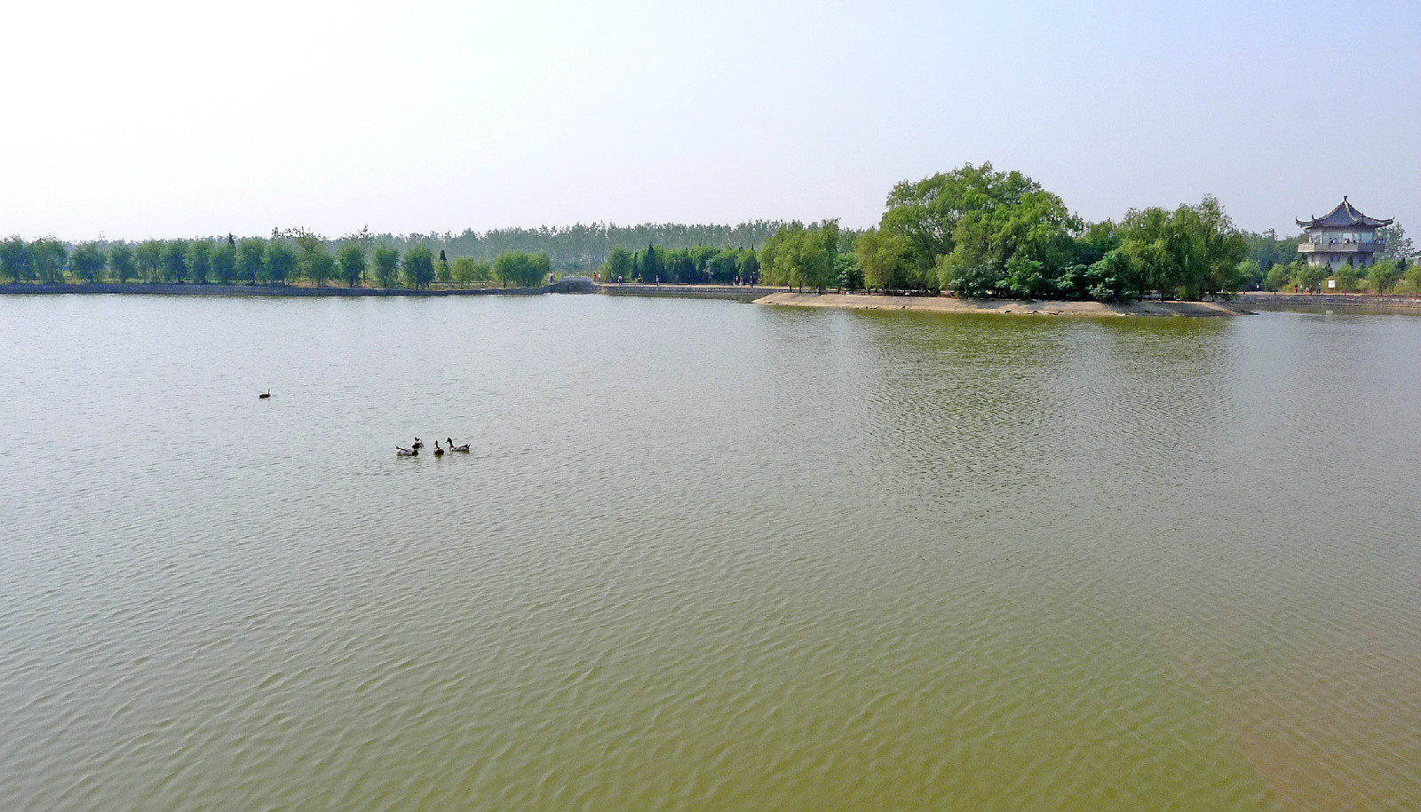 江苏盐城国家级自然保护区