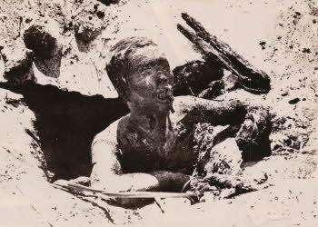  p>凝固汽油弹(napalm)是几种战争用可燃液体的总称,大多以胶状汽油为