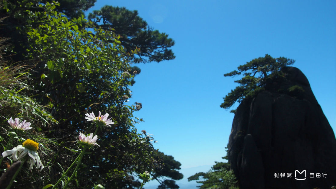 8c">莲花峰,是 a target="_blank" href="/item/黄山风景区/1350521"