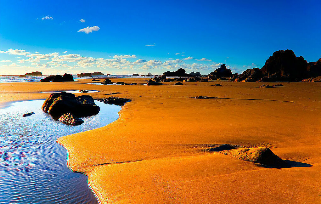  p>河北昌黎黄金海岸国家级自然保护区位于河北省东北部 a target="