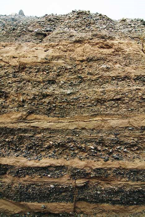 地质时代主要属