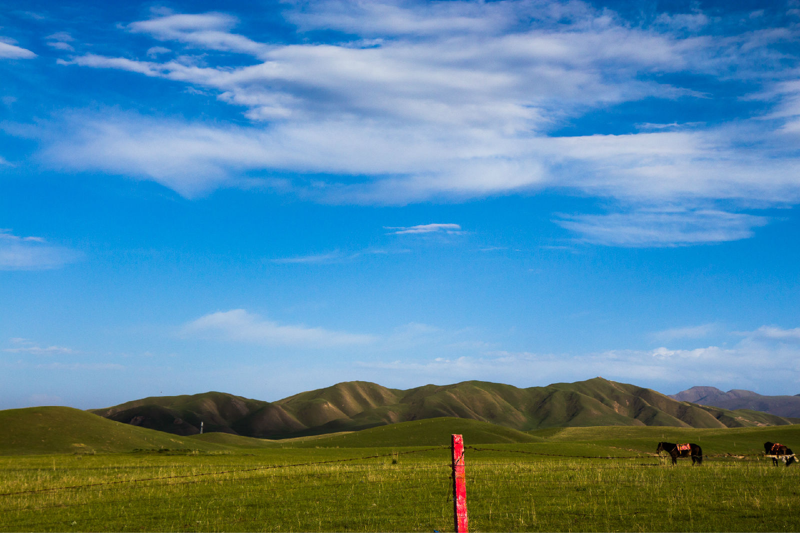  p data-id="gnx7s4idwx">金银滩草原,位于青海省  a target="_blank"