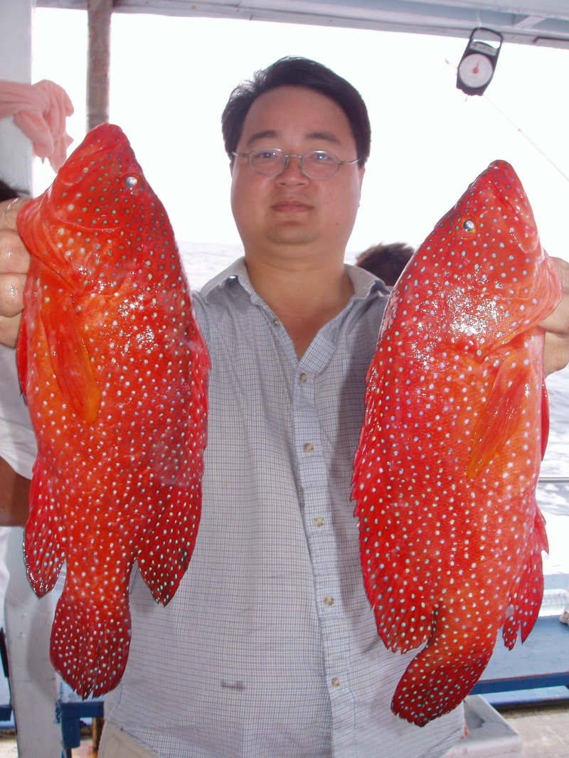 学名: a href="#">poromitra megalops /a>)为孔头鲷科犀孔鲷属的鱼类