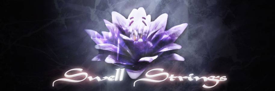 onoken Swell Strings Onoken - Swell Strings Remasterd 2020