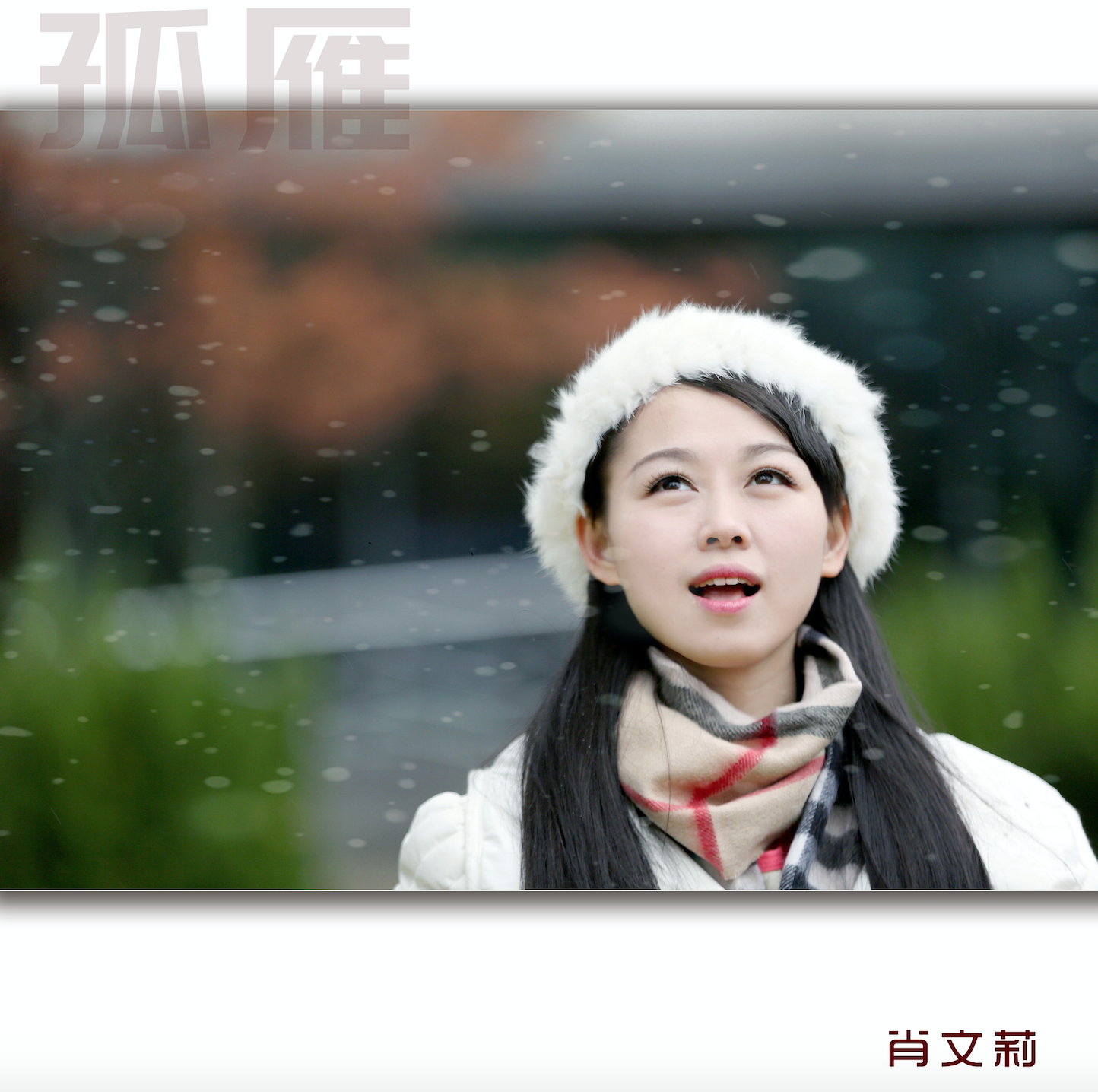 孤雁