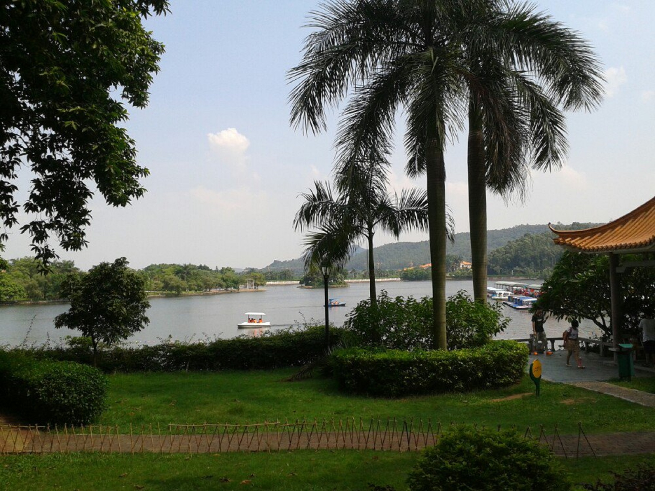 东莞虎英公园全长多少公里( 东莞虎英公园全长多少公里啊 )