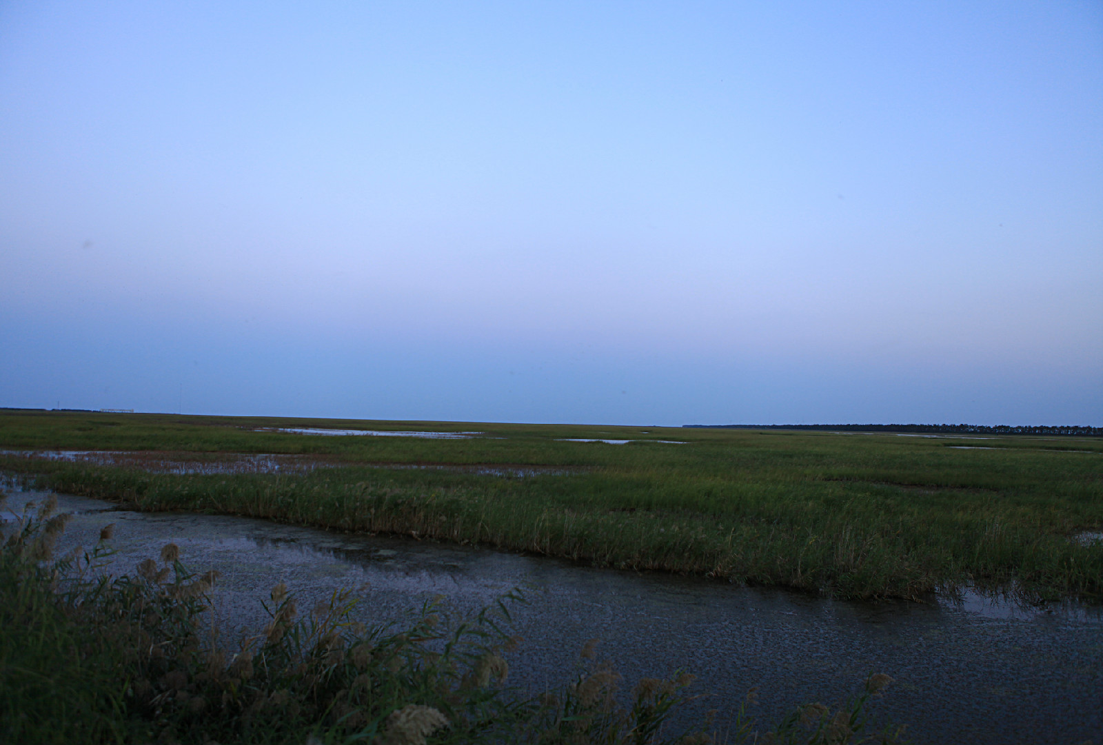 大丰国家海涂湿地公园