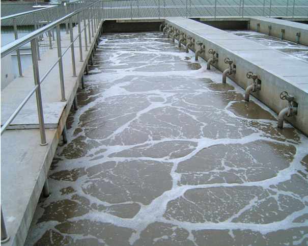  p>曝气池(aeration basin)是人们按照 a href="#" data-lemmaid="