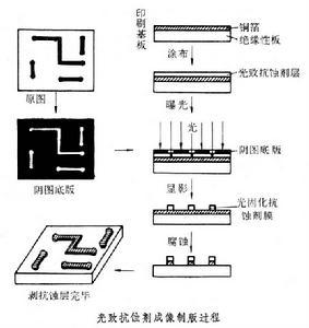 龟纹_百度百科