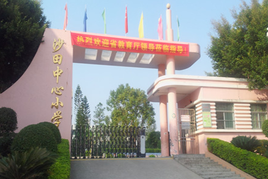  p>惠阳区沙田镇中心小学,创建于1987年9月,是一所六年制公办学校.
