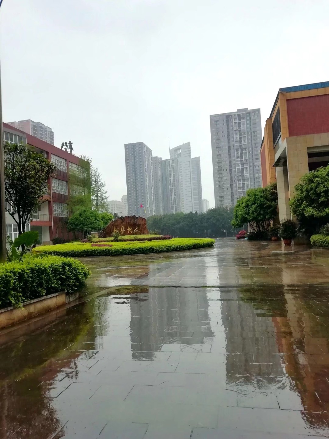 重庆市松树桥中学