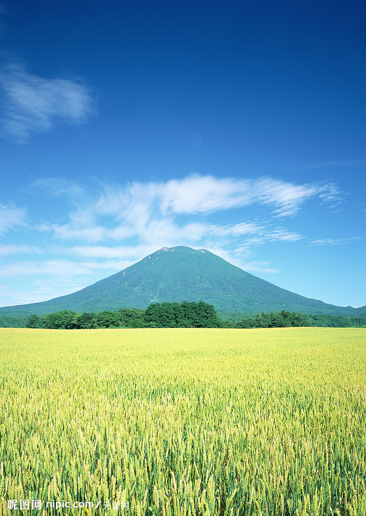 华北平原