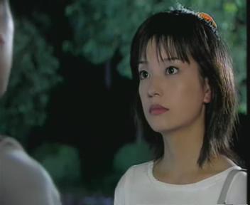 老房有喜二十五碟(vcd)