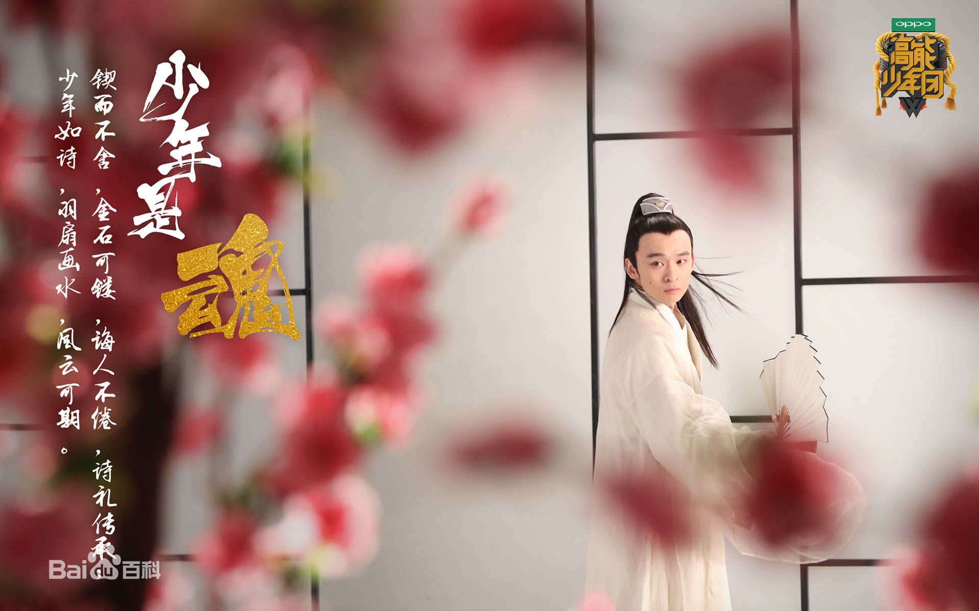 高能少年团第一季