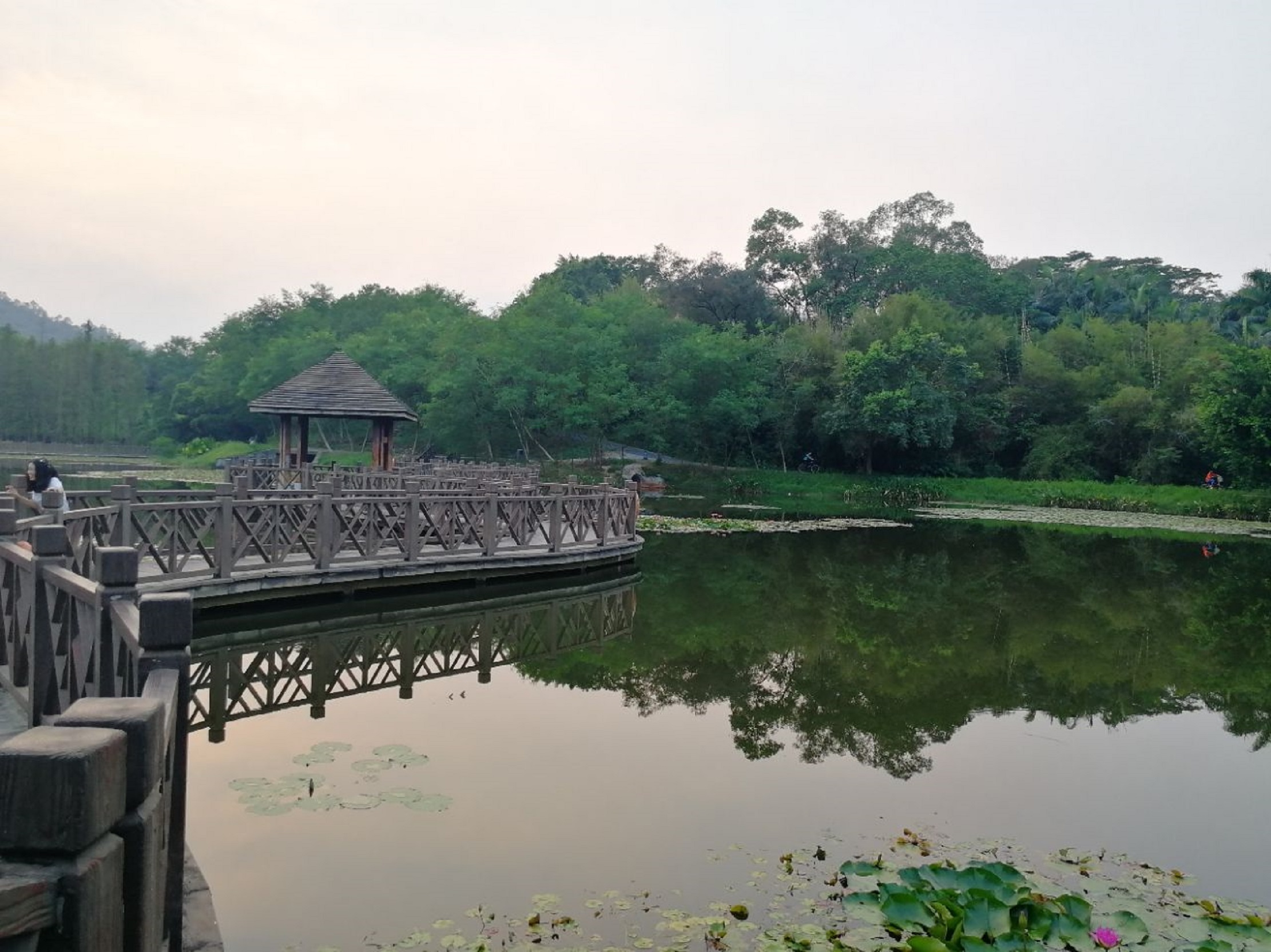 广州大夫山森林公园