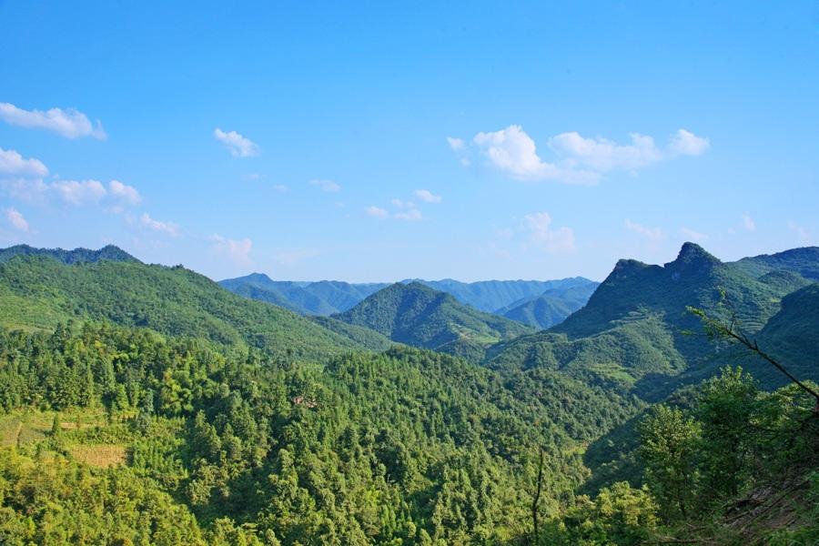 朱家山国家级森林公园