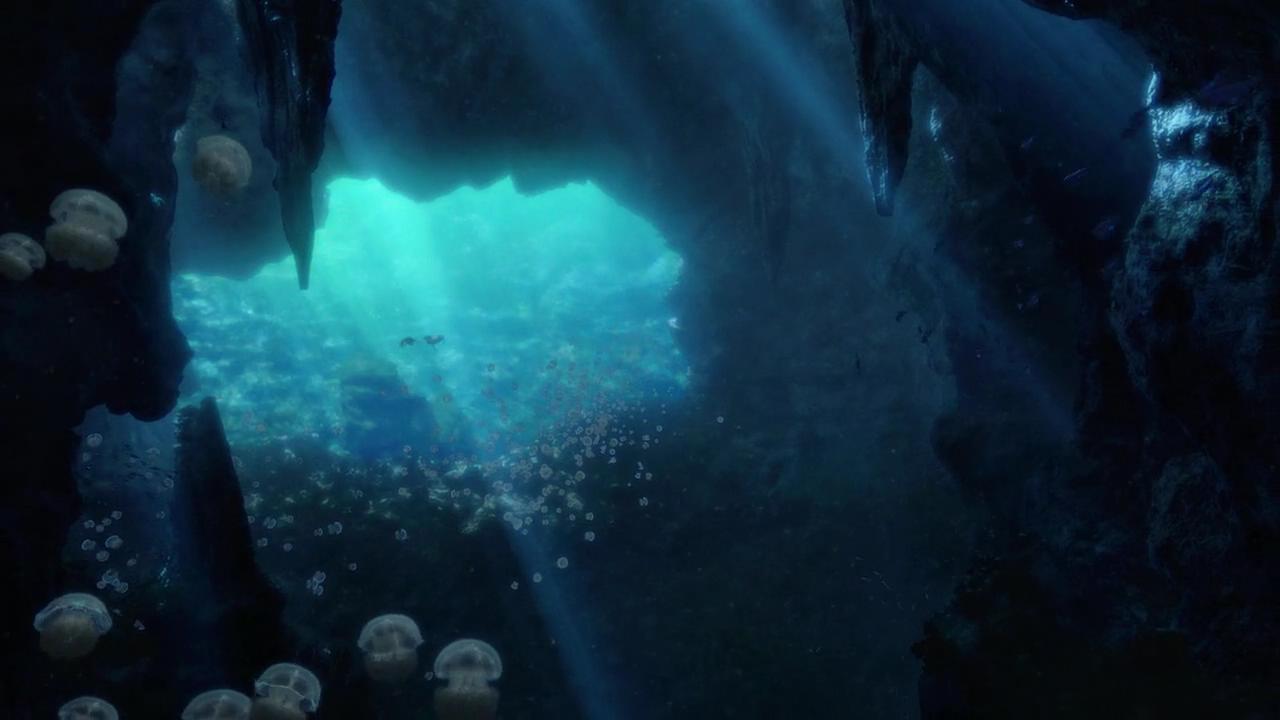 地心历险记2:神秘岛 3d版