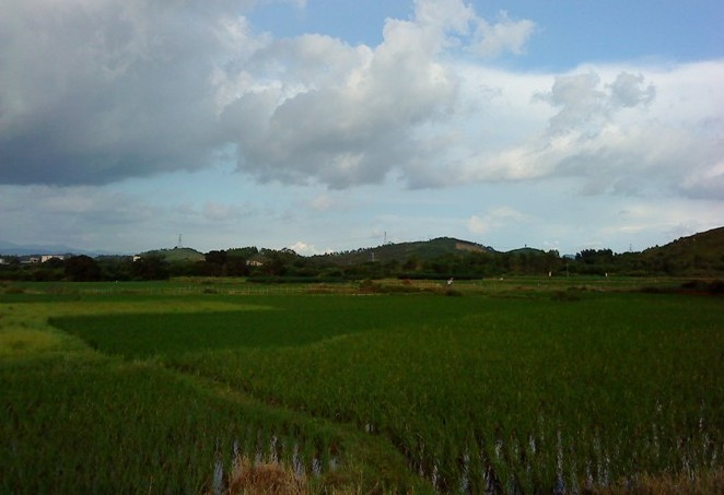 陆丰市西南镇西山村