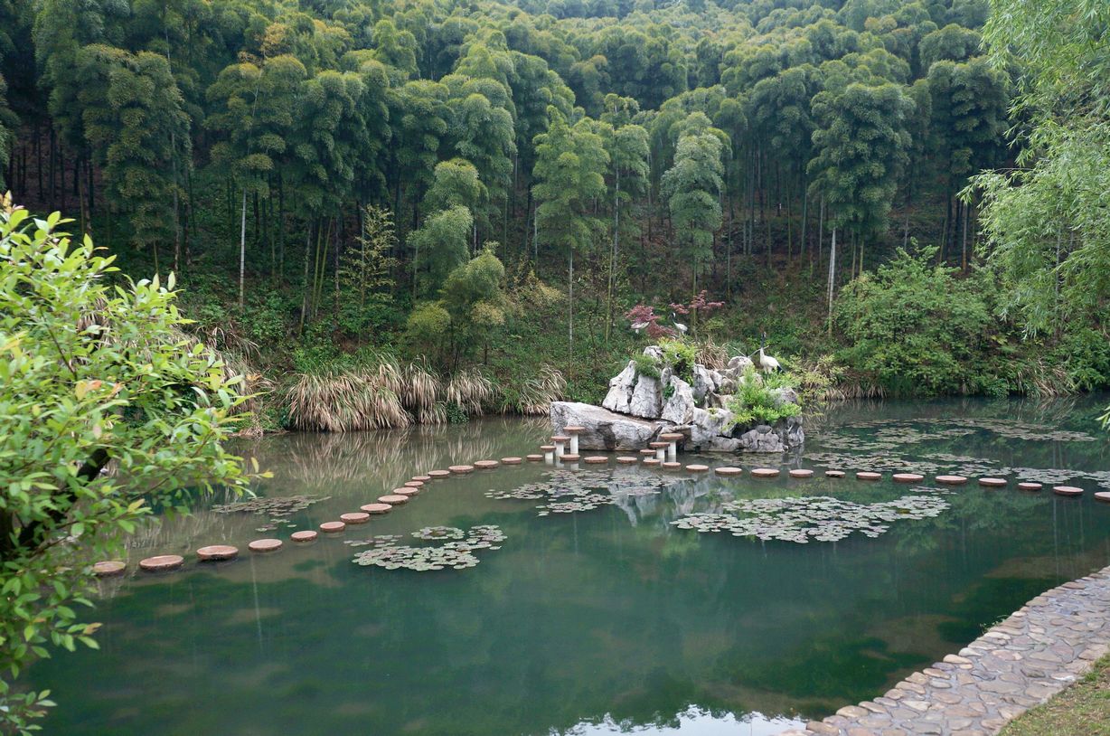  p>竹海,由漫无边际的竹林组成,四周青山环抱,湖水常年清澈如镜,水在
