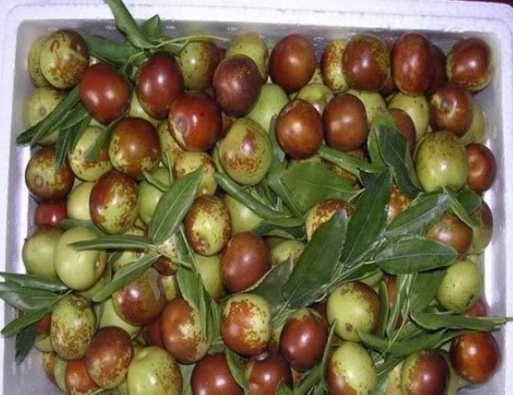  p>宁阳大枣,山东省宁阳县特产,全国农产品地理标志.