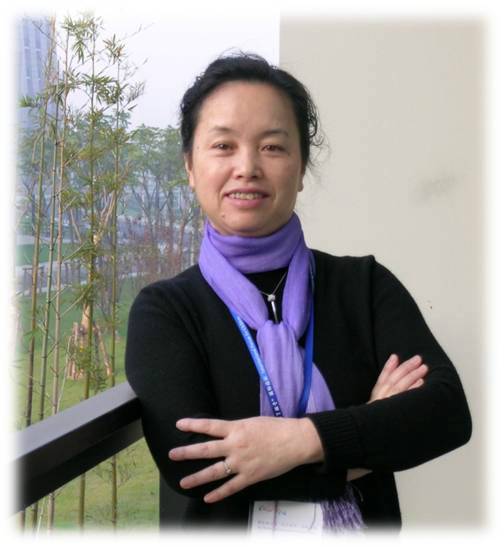 胡珍（成都大学教育科学学院教授）_百度百科