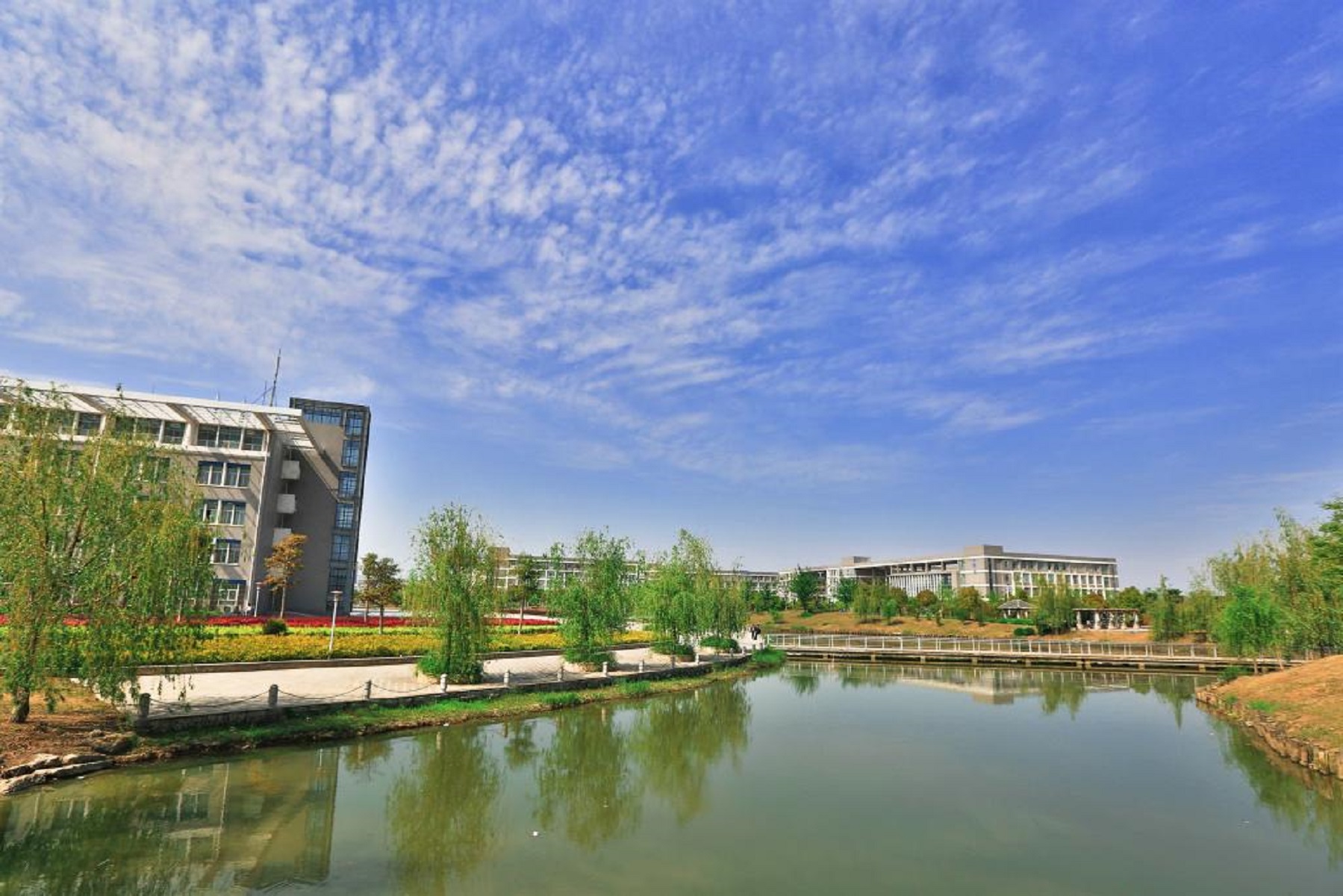  p></p></a>合肥职业技术学院是合肥市属综合性高职院校,是省教育厅确立的安徽