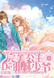 完美公主的邪魅少爷