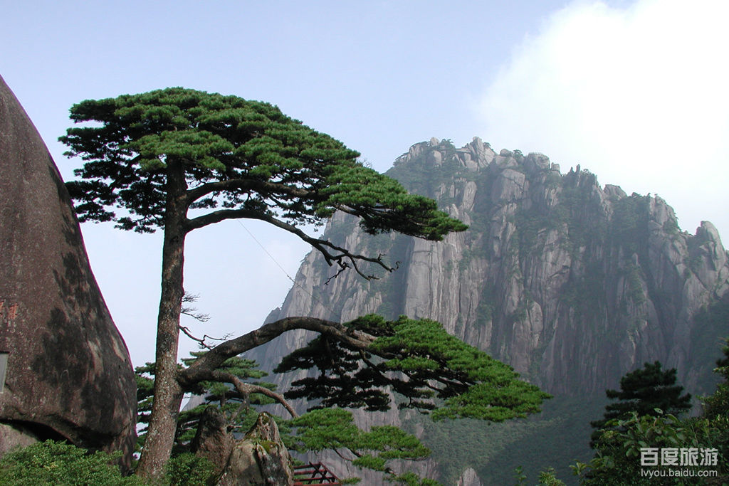  p>蜀山春晓位于安徽省蜀山区西部合肥西郊9公里,海拔284米,总占地