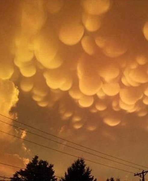  p>乳状云,又称"乳状积云","乳房云",是自然界的一个奇观.