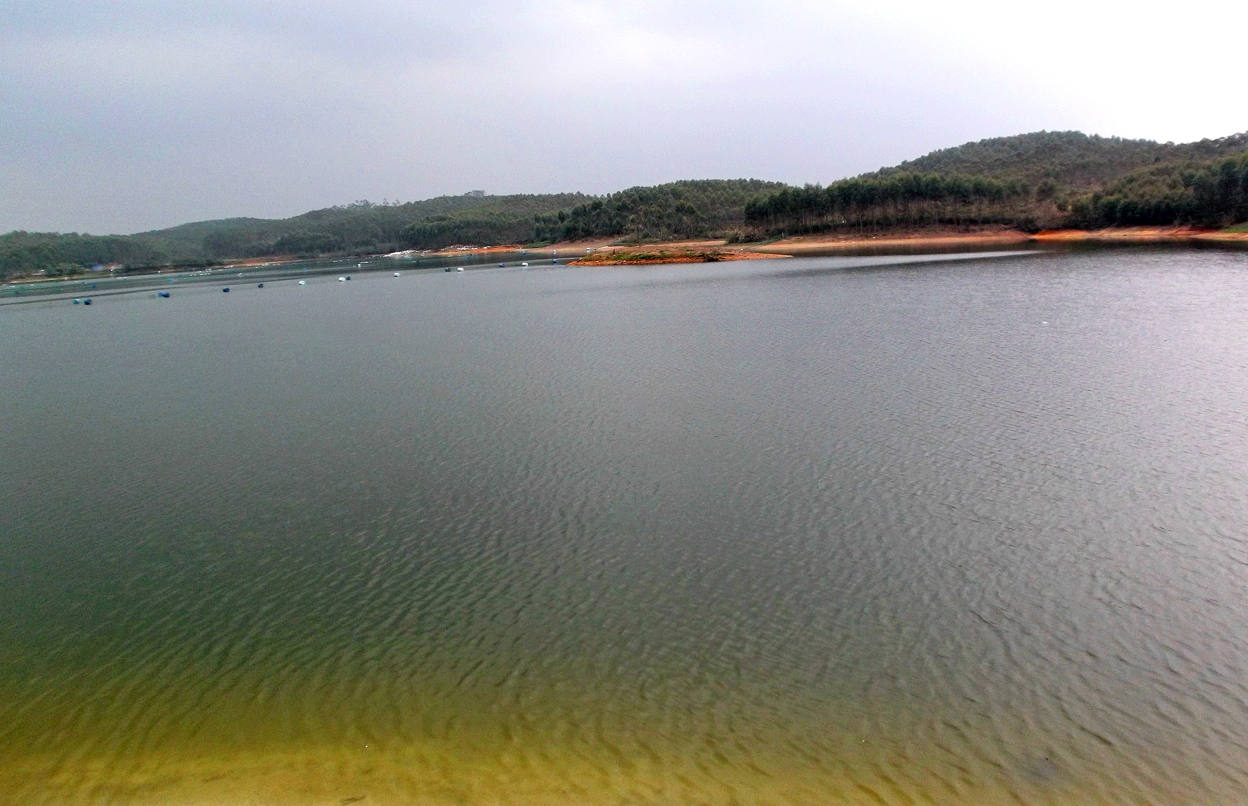 广西博白县龙潭镇