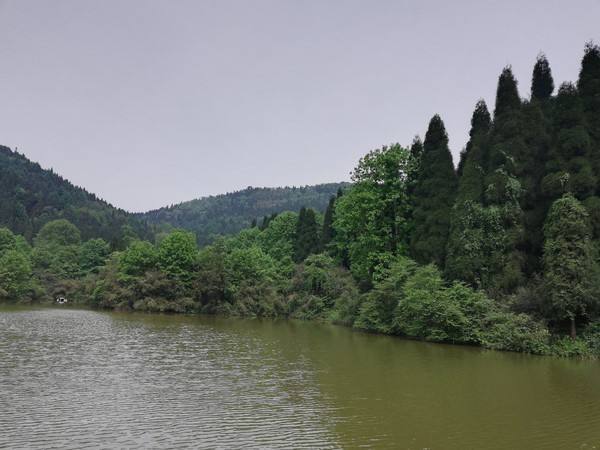 四川云湖国家森林公园