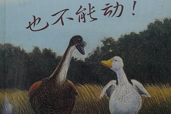 一根羽毛也不能动