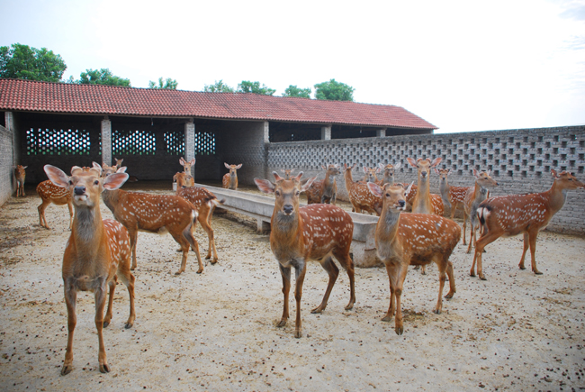 湖北太子山狩猎文化主题乐园
