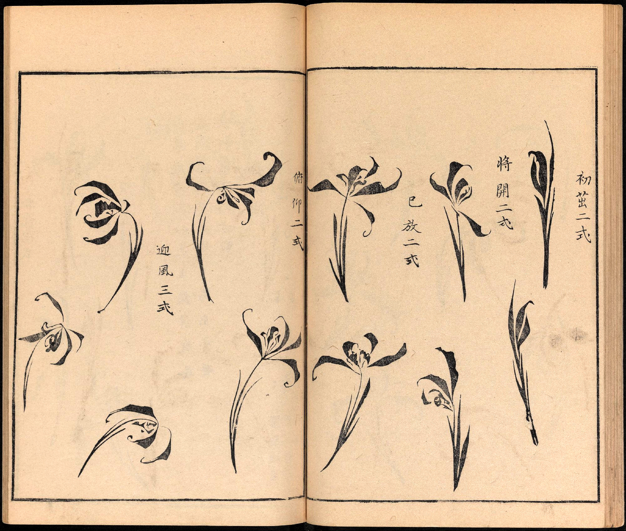 创梅竹兰菊“四君子”之称，堪称“四绝四美”的《梅竹兰菊四谱》_