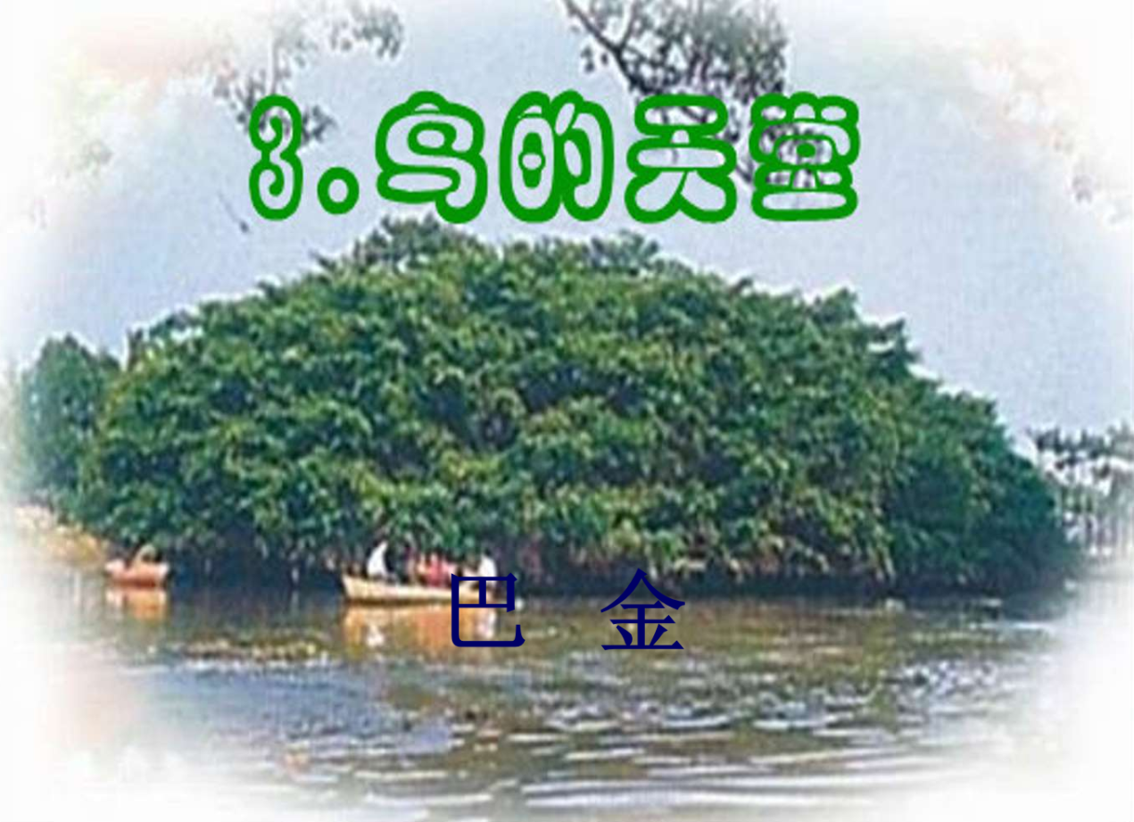 鸟的天堂