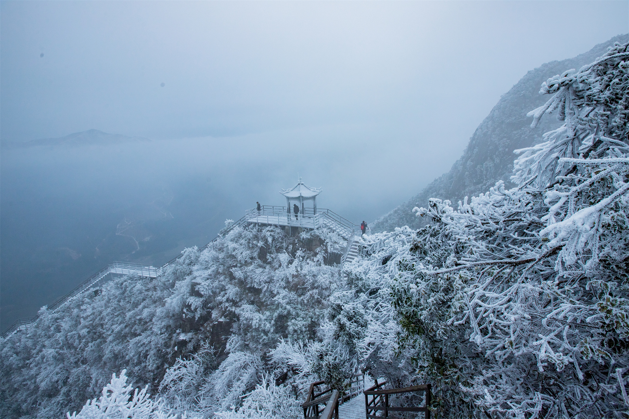 data-id="t1aolktvwrfh">清远金子山原生态旅游风景区位于清远市连山