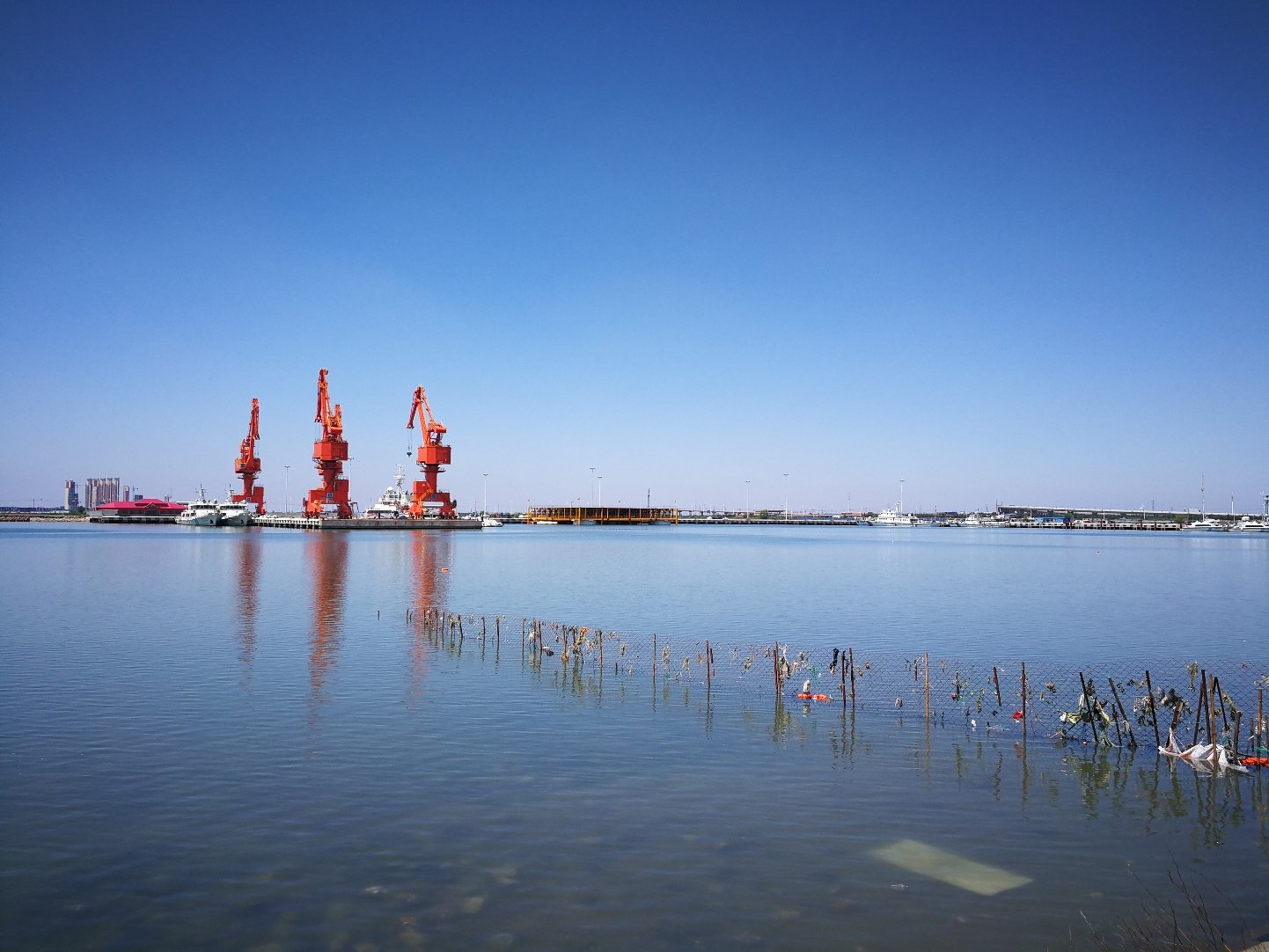 中心渔港位于天津市 a target="_blank" href="/item/滨海新区/1752"