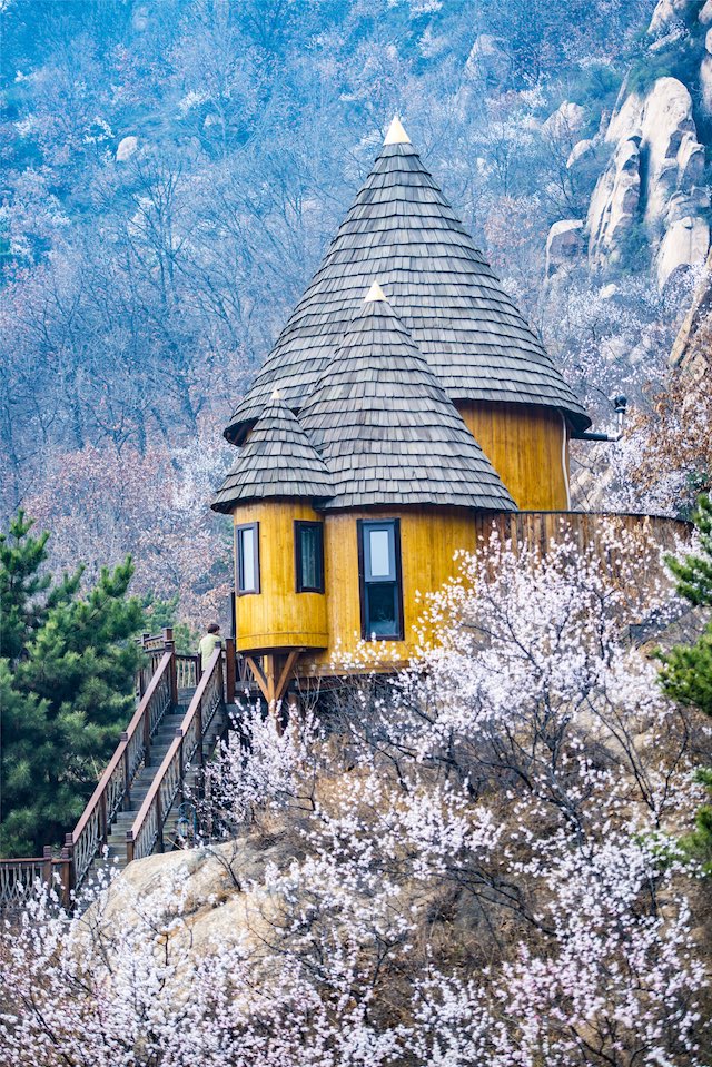  p>童话树屋位于近郊密云县水库北部山区(近云峰山景区),远远望去