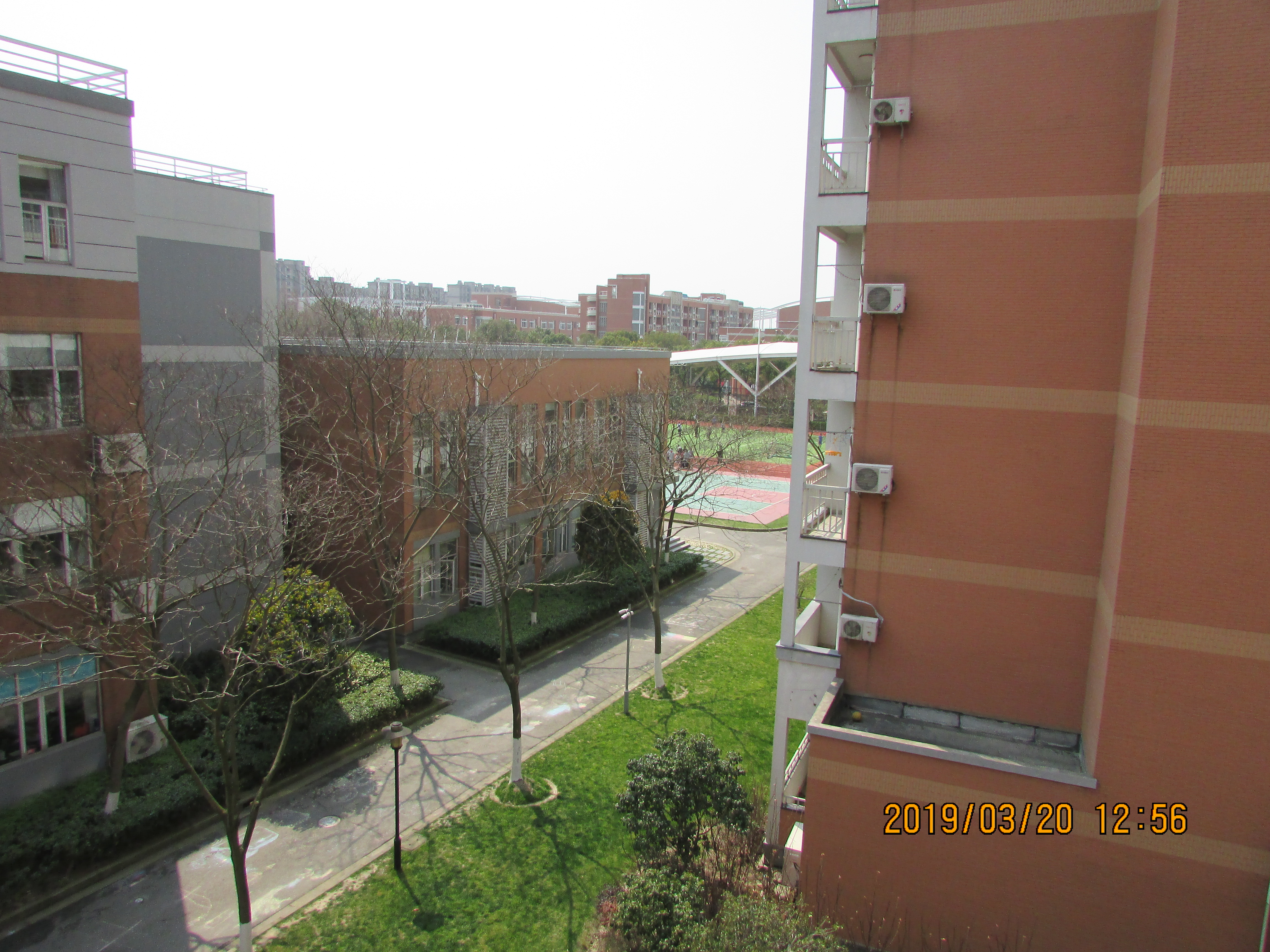 张江(集团)有限公司 /a>主办, a target="_blank" href="/item/上海市