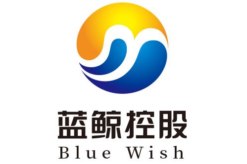蓝鲸控股集团