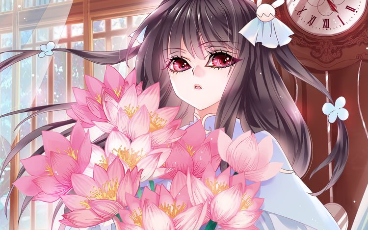 赤色四叶草