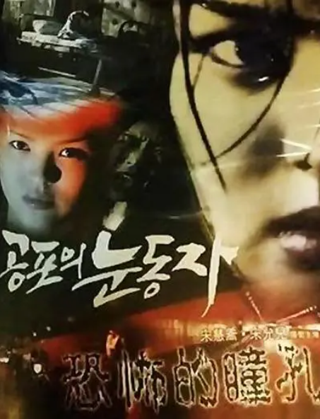 data-id="tmgzhyjotmvi">《恐怖的瞳孔》是宋慧乔,宋允儿主演的电影