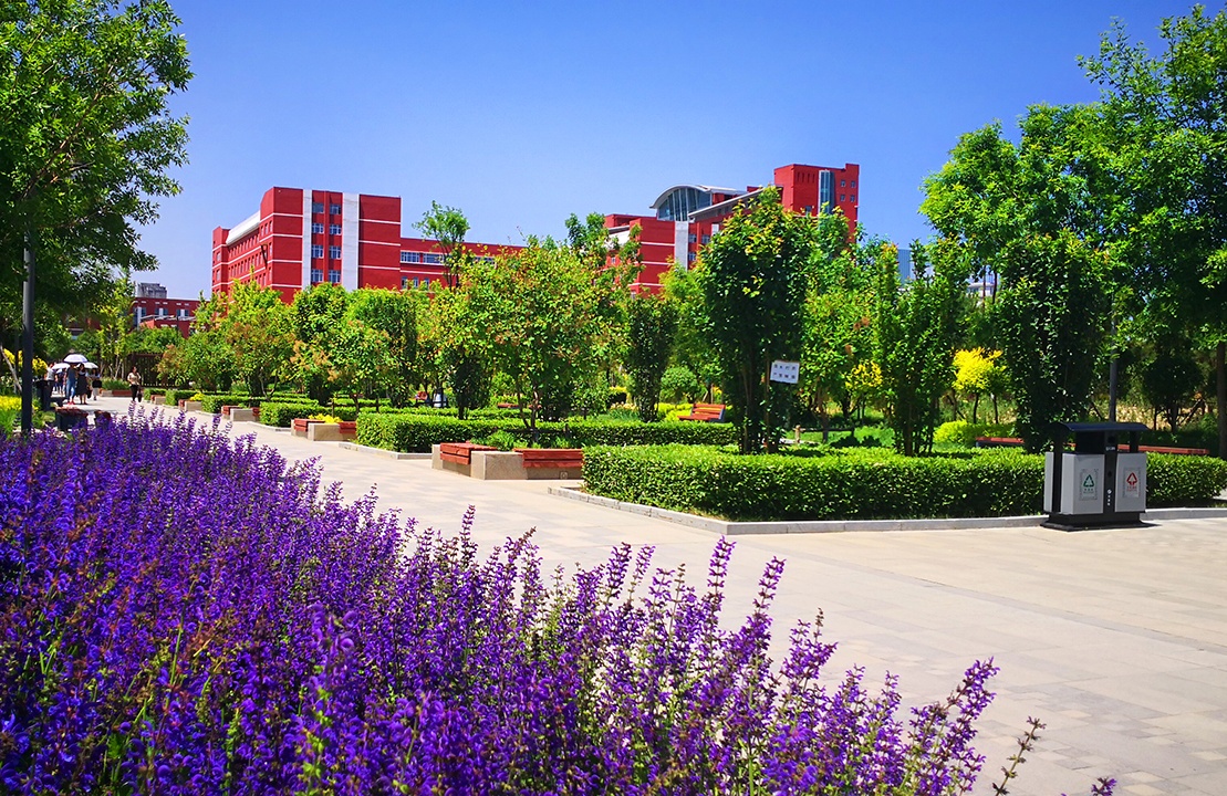 大同大学