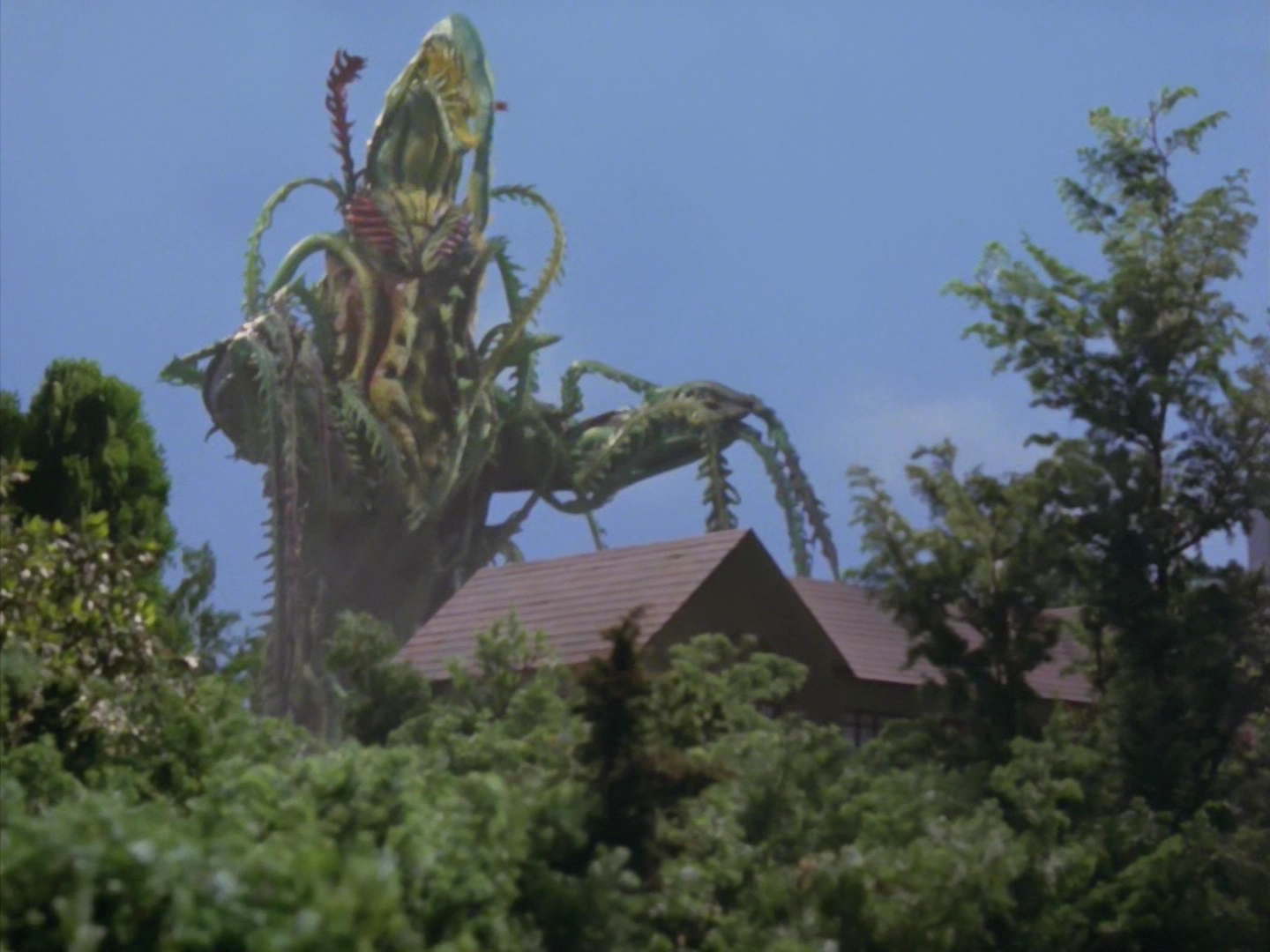 仿植物怪兽佐拉