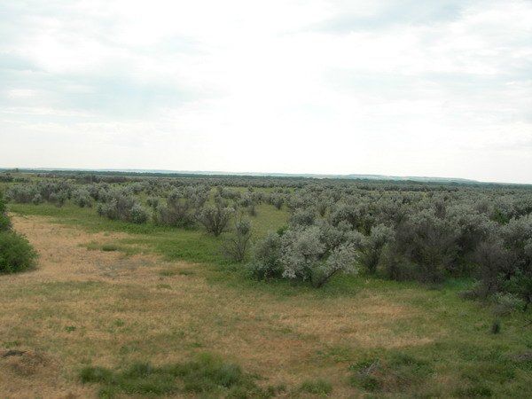  p>东欧平原(east european plain)位于欧洲东部,世界第二大 a href="