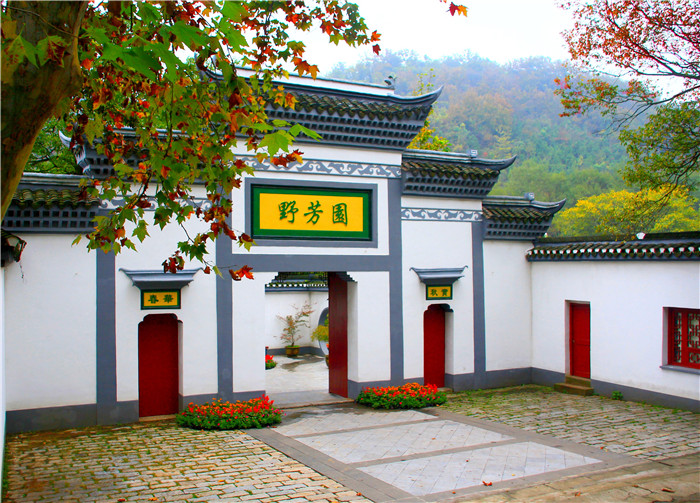 琅琊山国家森林公园