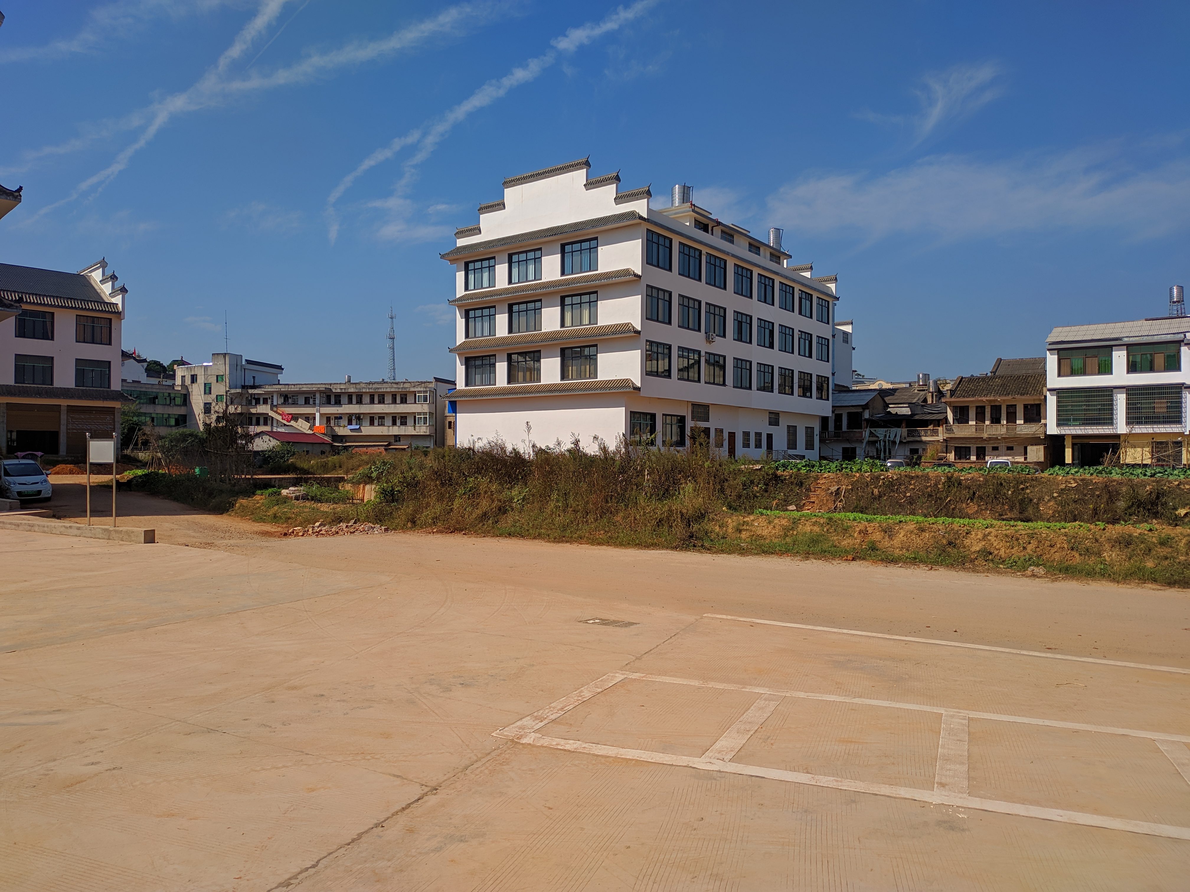 道林镇农贸市场