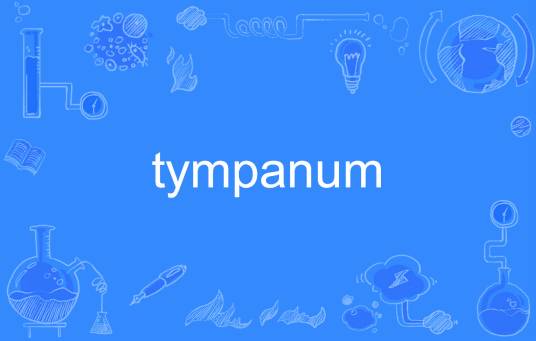 tympanum_百度百科