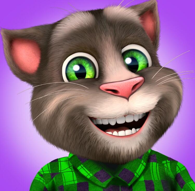 会说话的猫汤姆猫